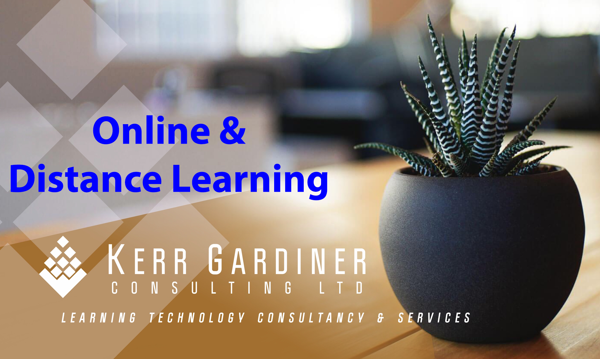 Online and distance learning