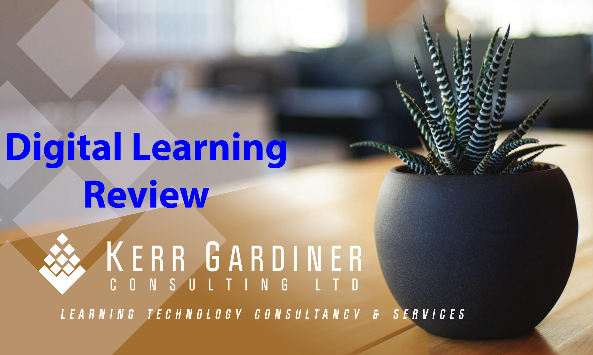 Digital Learning Review