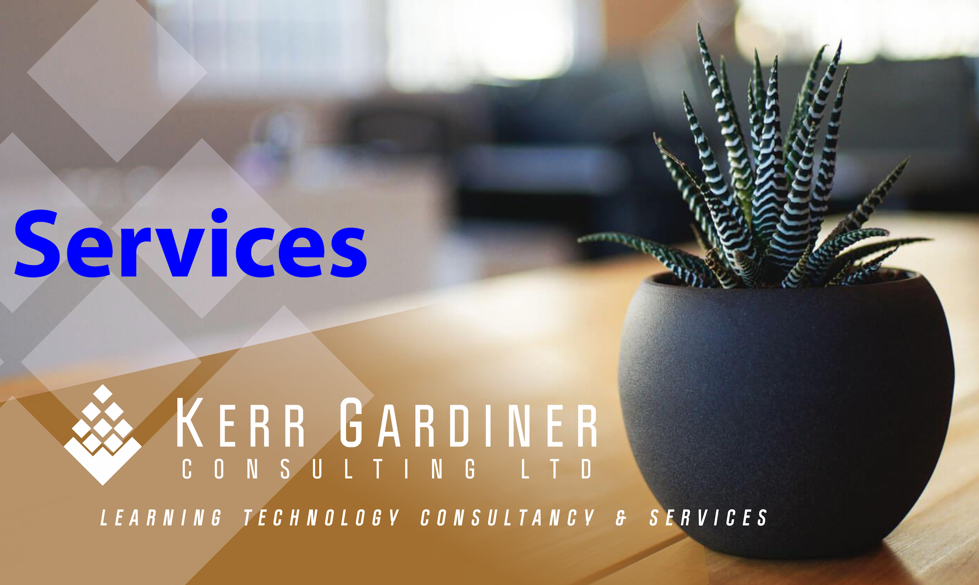 Our services